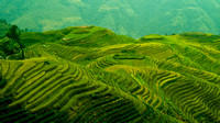 Yangshuo, Terraced Rice Fields
